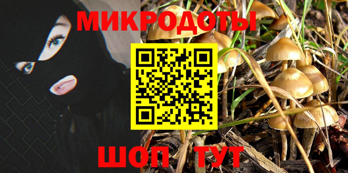 Псилоцибиновые грибы Magic Shrooms Щёкино